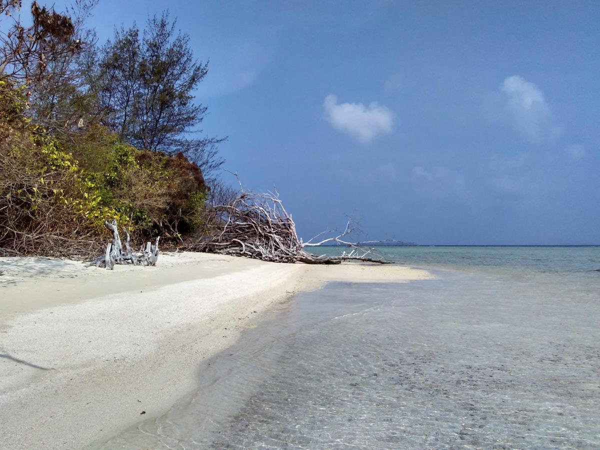 Asari Timo Cottage Karimunjawa Exterior photo